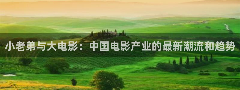 六安紅葉國際影城：小老弟與大電影：中國電影產(chǎn)業(yè)的最新潮流和趨勢