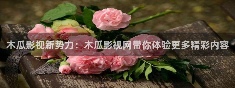 紅葉影院免費觀看電視劇：木瓜影視新勢力：木瓜影視網帶你體驗更多精彩內容