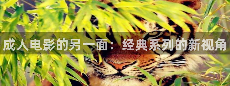 紅葉影院app：成人電影的另一面：經典系列的新視角