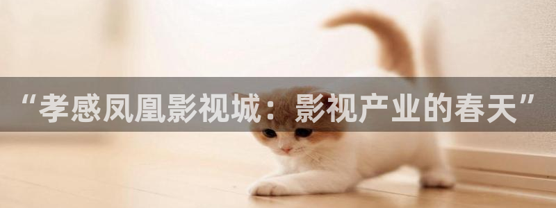 紅葉影視：“孝感鳳凰影視城：影視產業的春天”