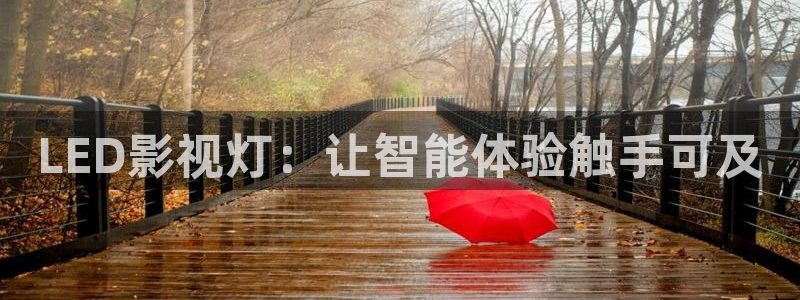 電影紅葉：LED影視燈：讓智能體驗觸手可及