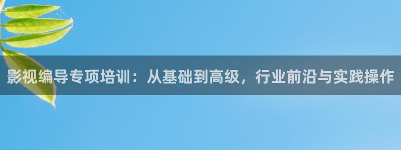 紅葉影院免費觀看電視劇：影視編導專項培訓：從基礎到高級，行業前沿與實踐操作